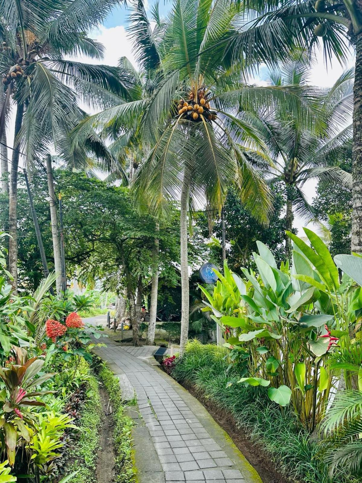 Villa Olirine By Balisuperhost Ubud Extérieur photo